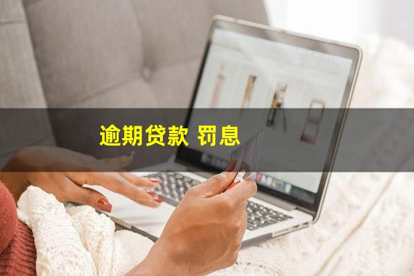 逾期贷款 罚息